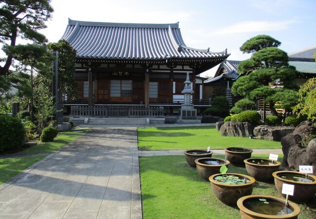 目黄不動が祀られている寺院