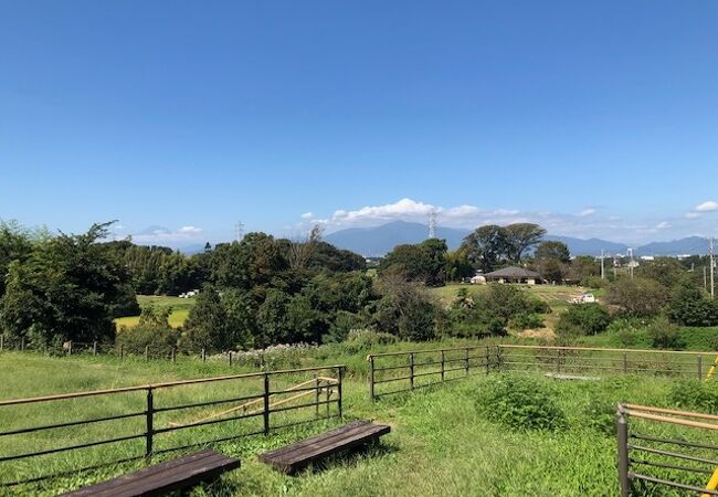 東京ドーム7個分の広大な自然公園