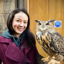 フクロウ持ってみないか？的な見世物も。