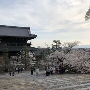 お花とアヒルの花手水