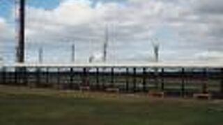 秋田空港の展望場