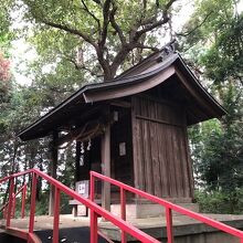 拝殿の奥にある本殿