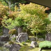 露天風呂から色ずき始めた紅葉が見られる