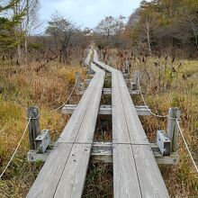 沼ッ原湿原