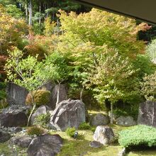 露天風呂から色ずき始めた紅葉が見られる