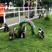 福岡の水族館