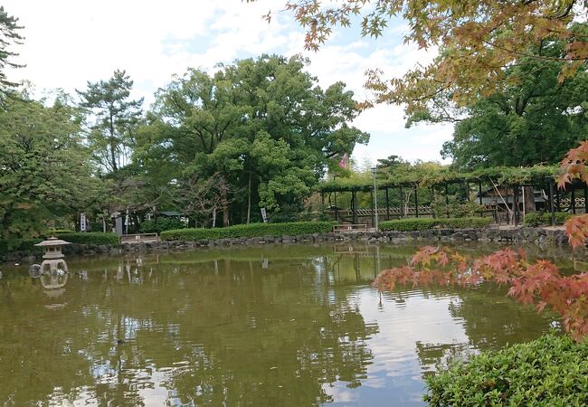 愛称は、秀吉清正公園