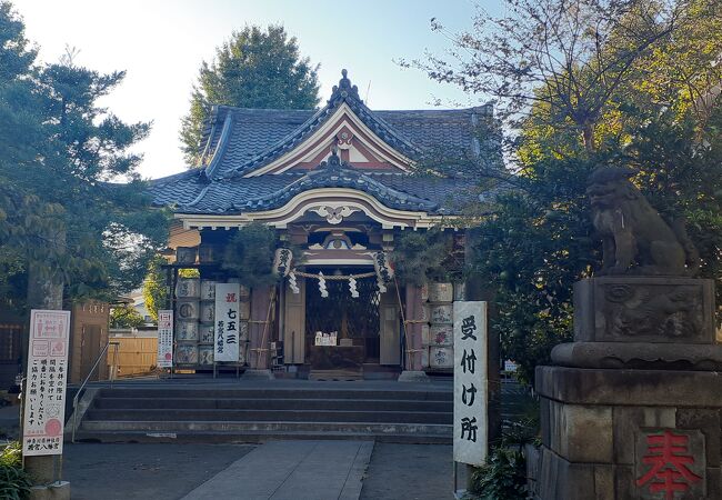 若宮八幡宮 金山神社 クチコミ アクセス 営業時間 川崎 フォートラベル