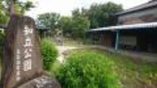 花菖蒲以外の季節は寂しい