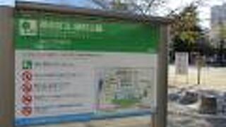 春はお花見も楽しめそうです