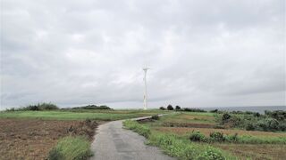 発電量は１基につき、３００ｋｗ／月だそうです。