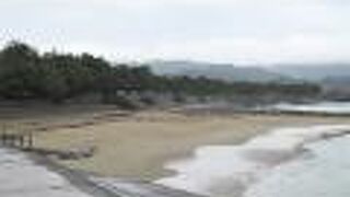 今年はコロナに厳しい対応。