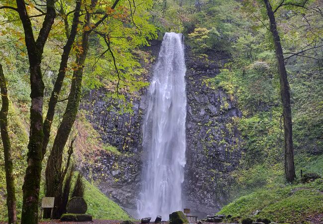 紅葉と滝