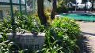 見晴らしとてもよいです！！