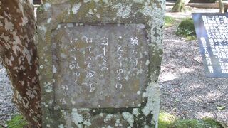 一人旅の寂しさ？