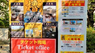 「大阪城の櫓（やぐら）特別公開」を開催していました