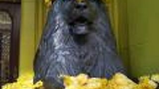 華やかなFLOWERの装いで嬉しそう