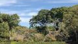 閉まっていたけれど