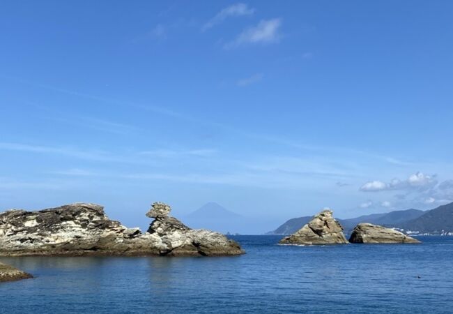 スキューバダイビングで行きました！