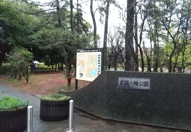 広い公園です