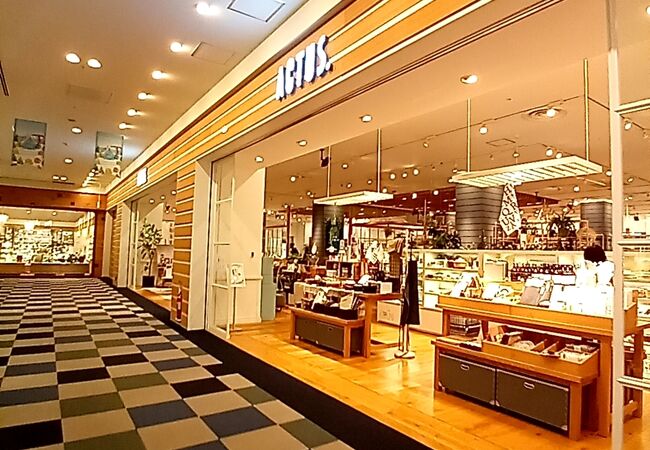 アクタス ららぽーと豊洲店 クチコミ アクセス 営業時間 豊洲 フォートラベル