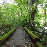 感動の風景が次から次