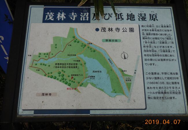 群馬県指定天然記念物に指定されています