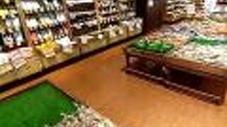 新三郷近郊の新鮮な野菜