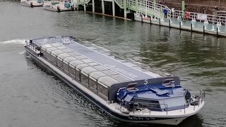 大阪城公園の大阪城港から中之島の淀屋橋港で折り返す、40分程度の観光遊覧船でした