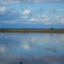 半島の内側は静かな湾でした
