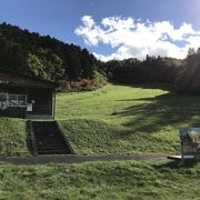 バッティングセンターもある広い公園