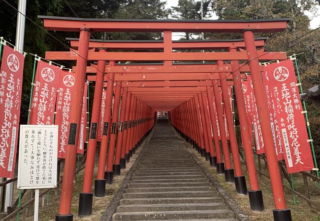王地山公園 クチコミ アクセス 営業時間 丹波篠山 フォートラベル