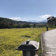日本では珍しい形状の滝。