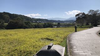 日本では珍しい形状の滝。