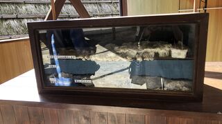 湯の花が作られる仕組みが学べます