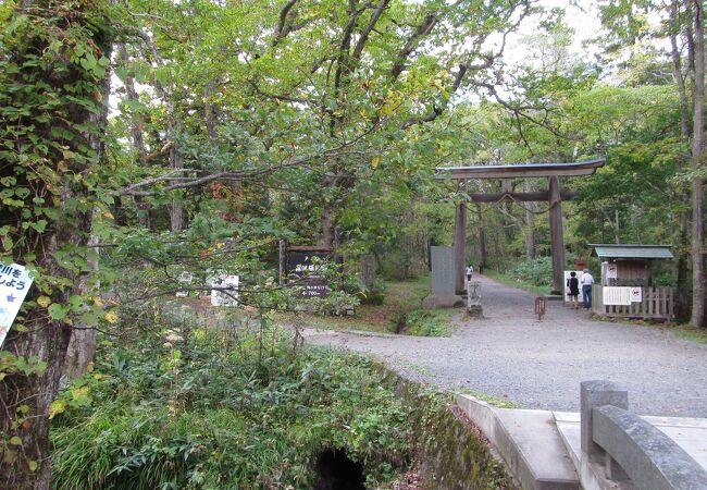 戸隠 鬼無里の公園 植物園 クチコミ人気ランキング フォートラベル 長野県