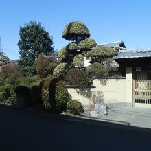 西沢つつじ園