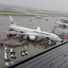 JAL のボーイング787はどんな感じなのかなぁ？