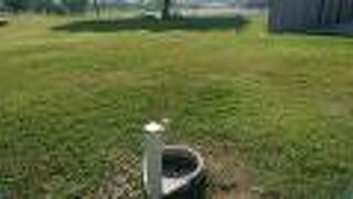 スポーツをしている人達で賑わっていました