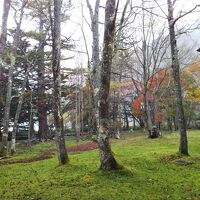 部屋から眺める朝の湯ノ湖畔