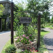 駅前の緑の広場