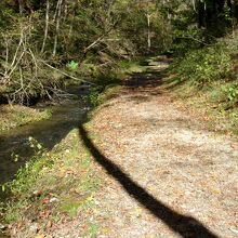 途中には、本当にせせらぎに接する遊び場もある。