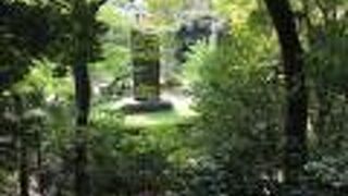 自然が残る公園