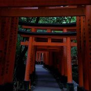 稲荷神社の総本宮&#11088;朱色の千本鳥居は見応えあり！