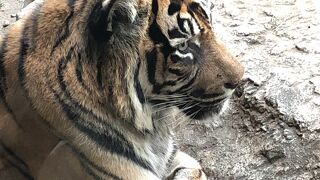 昔よりずっと良くなっていました