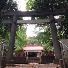 鳥居の先に社殿