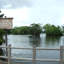 新日本三景にも指定されているそうです