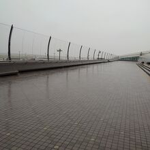 ターミナルデッキの外で取ろうと思ったけど雨がひどい