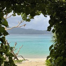 ハート型です！