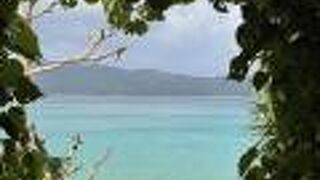 穴場の静かな海岸。ビーチに続く木々がハート型です！